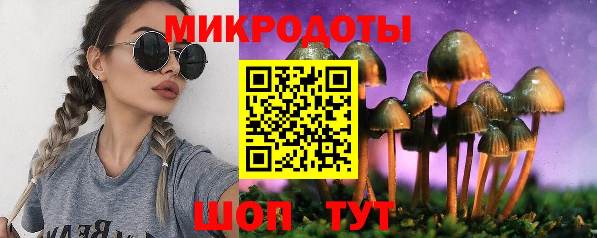 Галлюциногенные грибы Cubensis Избербаш
